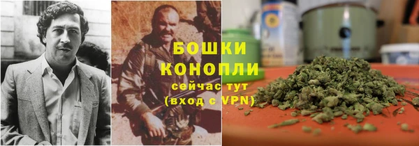 бошки Новозыбков