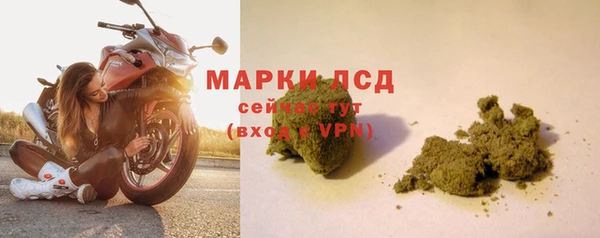 бошки Новозыбков
