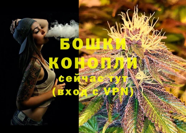 шишки Новодвинск