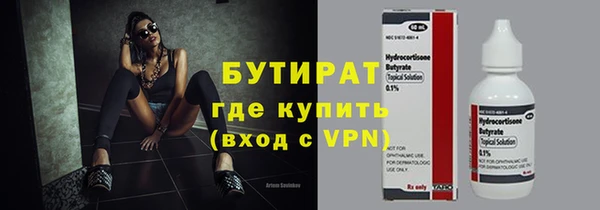 шишки Новодвинск