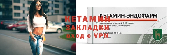 шишки Новодвинск