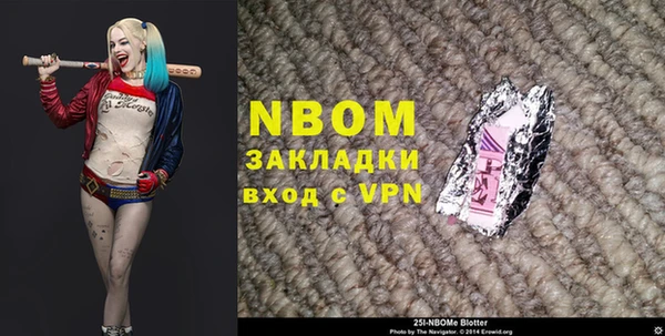 шишки Новодвинск
