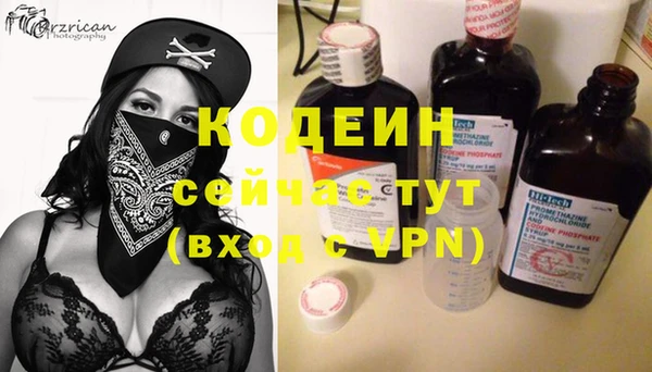 шишки Новодвинск