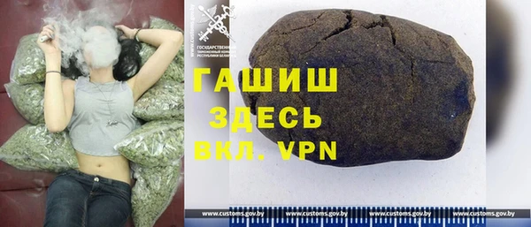 шишки Новодвинск