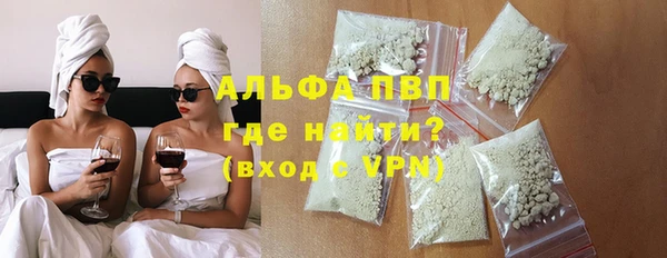 шишки Новодвинск