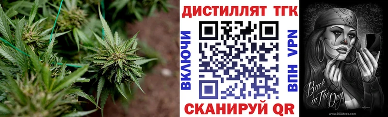 omg как войти  Сергач  Дистиллят ТГК концентрат  наркота 