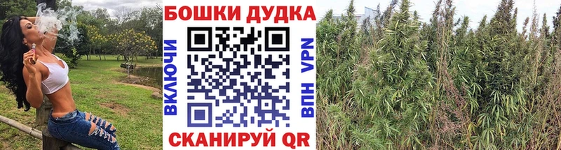 сколько стоит Сергач Бошки марихуана ГИДРОПОН